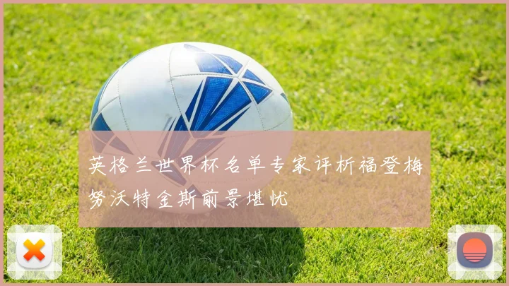 英格兰世界杯名单专家评析福登梅努沃特金斯前景堪忧